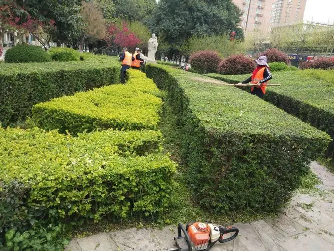 古典园林景观设计一亩地多少钱