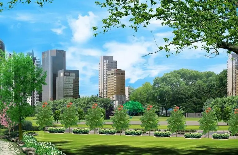 华蓥城市绿化带植物叫什么