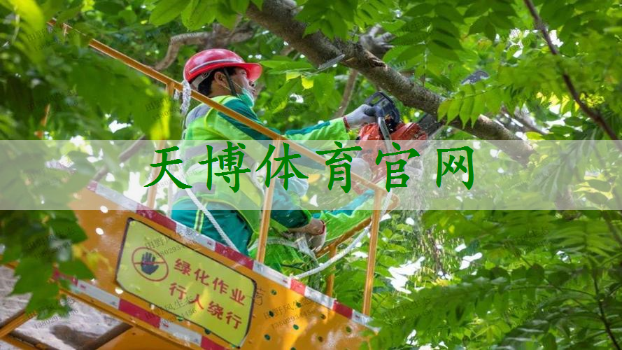大型复古园林景观设计