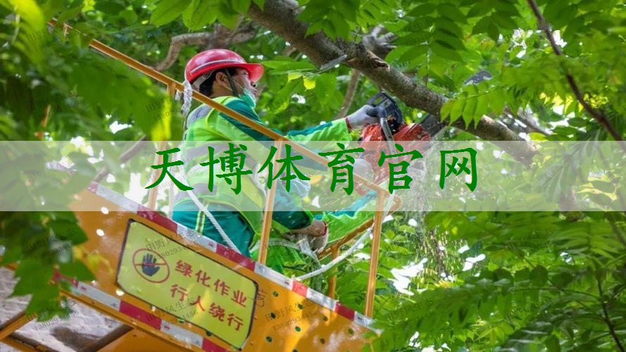 铜川城市园林绿化工程报价
